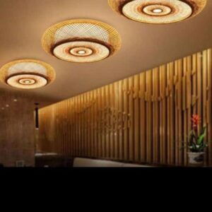 Lampshade Ceiling  Fixed Round (Without  Electrical Accessories)