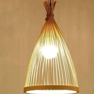 Lampshade Broom (Without Electrical  Accessories)